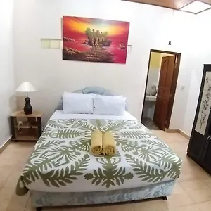 Muka House Guest house